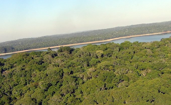 Cotia: ambientalistas defendem criação de Parque Estadual na Reserva Florestal do Morro Grande